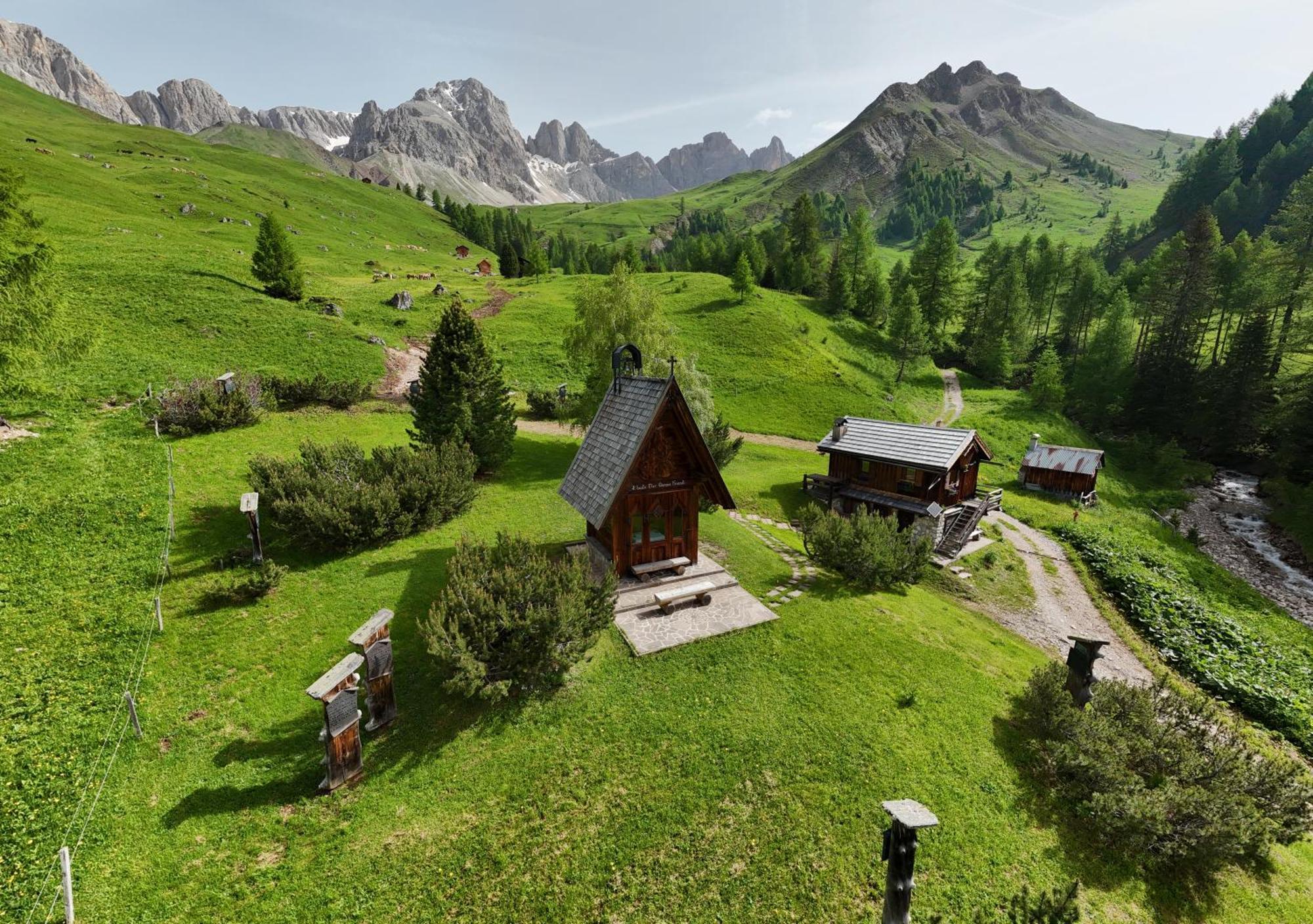 帕索圣佩莱格里诺 Rifugio Flora Alpina酒店 外观 照片